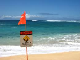 But if you want to take your pet for a tropical vacation or move your dog to hawaii, you. 12 Reasons You Should Not Move To Hawaii Living In Hawaii Moving To Oahu Maui Kauai Big Island