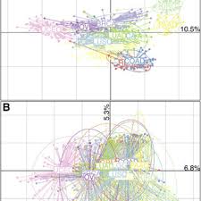 Uad long sleeved logo hoodies. Pdf Pan Cancer Analysis Of The Metabolic Reaction Network