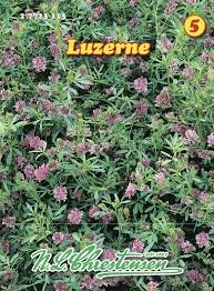 Luzerne Luzernensamen Von N L Chrestensen Samenhaus Samen Samereien