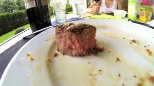 Bee eating meat - YouTube