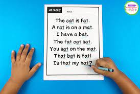 You don't have to say a word; Word Family Fluency Passages For Early Readers In Kindergarten
