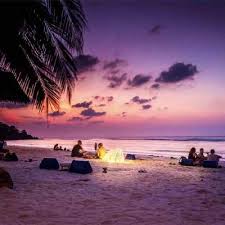 Pest control service clearwater fl. Domain Scanner Subnames Full Txt At Master Xiaozhu1337 Domain Scanner Github