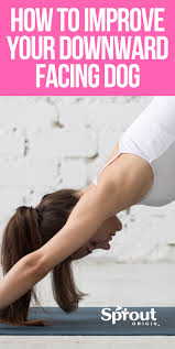 How To Improve Your Downward Facing Dog Yoga For Beginners Teaching Yoga Teach Yoga Online