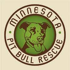 Red heeler female puppy (dlh > cotton mn) pic hide this posting restore restore this posting. Pets For Adoption At Minnesota Pit Bull Rescue In Saint Paul Mn Petfinder