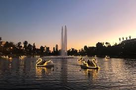 Maybe you would like to learn more about one of these? Swan Boat Night Ride Auf Dem Echo Park Lake 2021 Los Angeles Tiefpreisgarantie