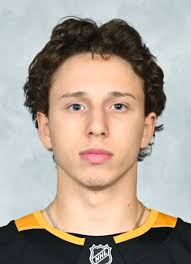 Benjamin Kindel Hockey Stats and Profile at hockeydb.com