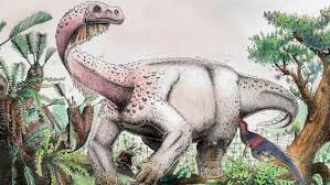 It was first found in 1998 but named in 2019. Palaeontologist S Teenage Dinosaur Find Turns Out To Be A T Rex Cousin Abc News