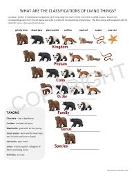 Worksheet For The Classification Of Living Things Classical Conversations Scien Classical Conversations Science Worksheets Classical Conversations Foundations