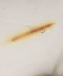 Apply some white toothpaste on the burn marks. Bathroom Counter Burn Removed Without Removing The Countertop 5 Steps With Pictures Instructables