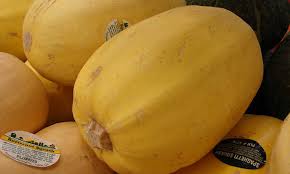 Maybe you would like to learn more about one of these? When To Pick Spaghetti Squash For Perfection Epic Gardening