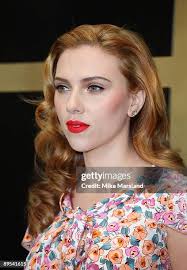 339 Scarlett Rose Stock Photos, High-Res Pictures, and Images