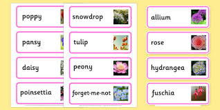 Building a garden you can be proud of. Garden Plants Names And Flowers Photo Word Cards
