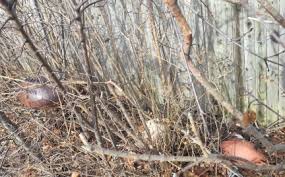 5 Ways Critical Observation Will Change Your Life