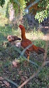 PTPA thank you FVO :)