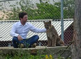 Wählen sie aus 3.669 illustrationen zum thema puma raubkatze von istock. Raubkatzen Im Hunsruck Pumas Haben In Bell Ein Neues Grosses Zuhause Rhein Hunsruck Zeitung Rhein Zeitung