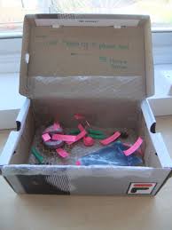 A cardboard box is an industrially prefabricated box, primarily used for packaging goods and materials. Dixons Cottingley Academy On Twitter Year 7 Students Were Asked To Make Amp Label A 3d Model Of A Plant Animal Cell Well Done Al Amin Samar Harris Amp Zakria Fantastic Work Https T Co Ougprkxj5l