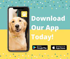 We are open for veterinary care and offering curbside service to maintain social distance while still offering care for. The Pet Stop Home Facebook