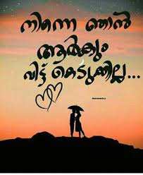 Pin On Chettante Meenootty