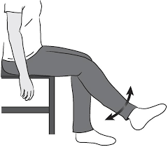 Check spelling or type a new query. Total Knee Replacement Exercise Guide Orthoinfo Aaos