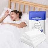 Amazon.com: 4 PCS Disposable Bed Sheet Queen Size, Travel ...