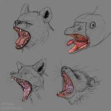 We did not find results for: Animal Mouth Study Monika Zagrobelna