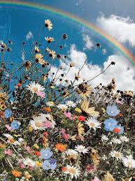 Download 31,295 background flower rainbow stock illustrations, vectors & clipart for free or amazingly low rates! We Heart It Faves On We Heart It Flower Aesthetic Aesthetic Wallpapers Flowers Photography