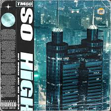 If you need help then make sure to join my discord or just comment below! Tm88 So High Ft Roy Woods Wiz Khalifa Audio Lyrics Download Mp3 Music Foreign Songs Lyrics