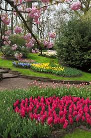 Feel free to download, share, comment and discuss the wallpapers that inspire you! Spring Flower Garden Free Stock Photos In Jpeg Jpg 853x1280 Format For Free Download 439 67kb