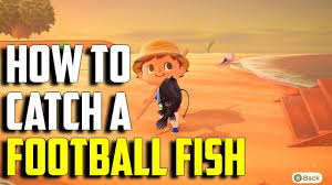 A football fish was found washed up on the shore at crystal cove state park in newport beach. How To Catch A Football Fish Football Fish Acnh Football Fish Animal Crossing New Horizons Youtube