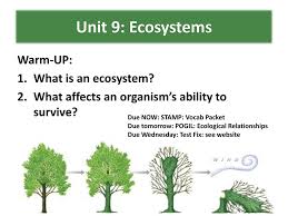 Check spelling or type a new query. Enduring Understandings Ppt Download