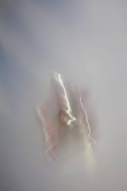 Vanishing In Plain Sight Nose Ring Jewelry Olivia Parker