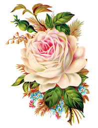 12 Free Vintage Rose Images Free Pretty Things For You Vintage Roses Rose Images Decoupage Printables