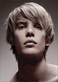 Nice Cool Shaggy Hairstyles For Guys 2016 Brown Hair Men Mens Hairstyles Hair Styles