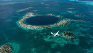 Belize, formerly known as british honduras, is a small nation on the eastern coast of central america, on the caribbean sea, bordered by mexico to the northwest and guatemala to the west and south. Belize License For Sale Eternity Law International