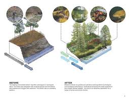 See what nelson edwards (nelsonedwards5) has discovered on pinterest, the world's biggest collection of ideas. Nelson Byrd Woltz Landscape Architects Turns Infrastructure Into Place Making With Duke Pond Landscape Architect Easy Landscaping Landscape
