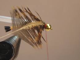 Sbs Royal Flush Nymph Washington Fly Fishing Avec Images Nymphe Mouches