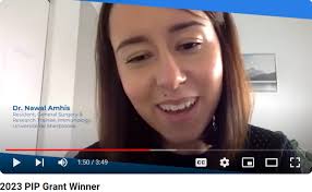 Evaluation of the 2023 Hybrid PIP and Recommendations for the 2025 PIP