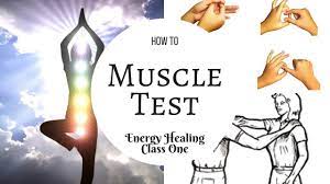 We did not find results for: Basic Muscle Testing Class 1 Youtube