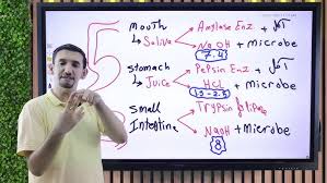 summary chapter 1 ola sanwy 1st term dr peter metias bio