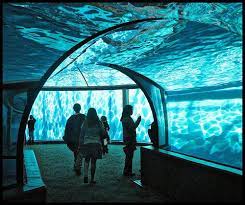 Indianapolis Zoo Logo Indianapolis Zoo Indiana Travel Iowa Travel