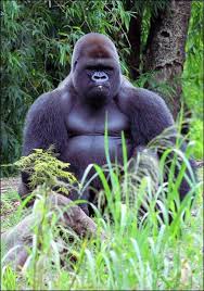 Pin On Pictures I Like