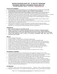 A college curriculum vitae (cv) template for the students that are applying for internships or jobs in academia or research where more than 1 page is needed. Senior Business Analyst Resume Templates At Allbusinesstemplates Com