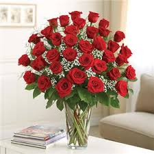 The latest 1800flowers.com coupon codes at couponfollow. 3 Dozen Red Roses Ultimate Premium Long Stem Roses In Clear Vase In Suffern Ny Petals And Stems Florist