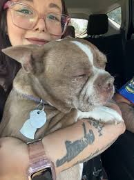 My son has lost his home in the Altadena fire. If you can help it would be  appreciated. Thank you.