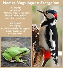 „ne mondd soha a mondhatatlant nemes nagy ágnes verseiből részleteket szaval molnár piroska, a thália színház színművésze ingyen kultúrfröccs. Nemes Nagy Agnes Szorgalom Mi Kopog Gyermekversek Nemcsak Gyerekeknek Facebook