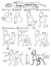 How To Draw A Pitbull Pesquisa Google In 2020 Disney Zeichnen Anleitung Tiere Malen Hund Zeichnen