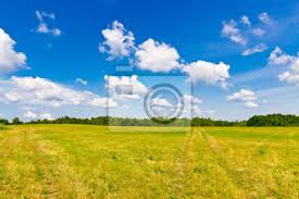 Hallo ihre intressierte, ich selber war schon 3 mal in weißrussland und will ich mal da forum einbischen anreichern mit meinem. Himmel Wolken Und Feld Weissrussland Minsk Region Bunte Landschaft Fototapete Fototapeten Gelb Holz Weiss Myloview De