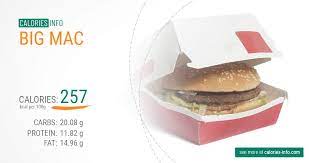 Big Mac Calories In 100g Or Ounce 2 Things You Must Consider