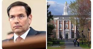 President Trump is our...