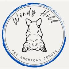 Profile for Windy Hill Corgis
